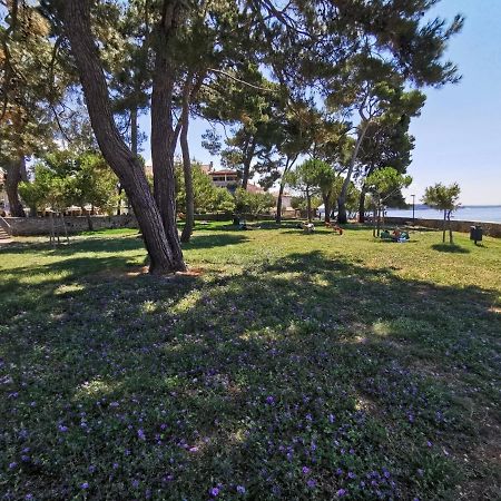 Nina Deluxe Superior 5 Star Apartment, Your Piece Of Heaven By The Sea & Park Novigrad Istria Eksteriør bilde